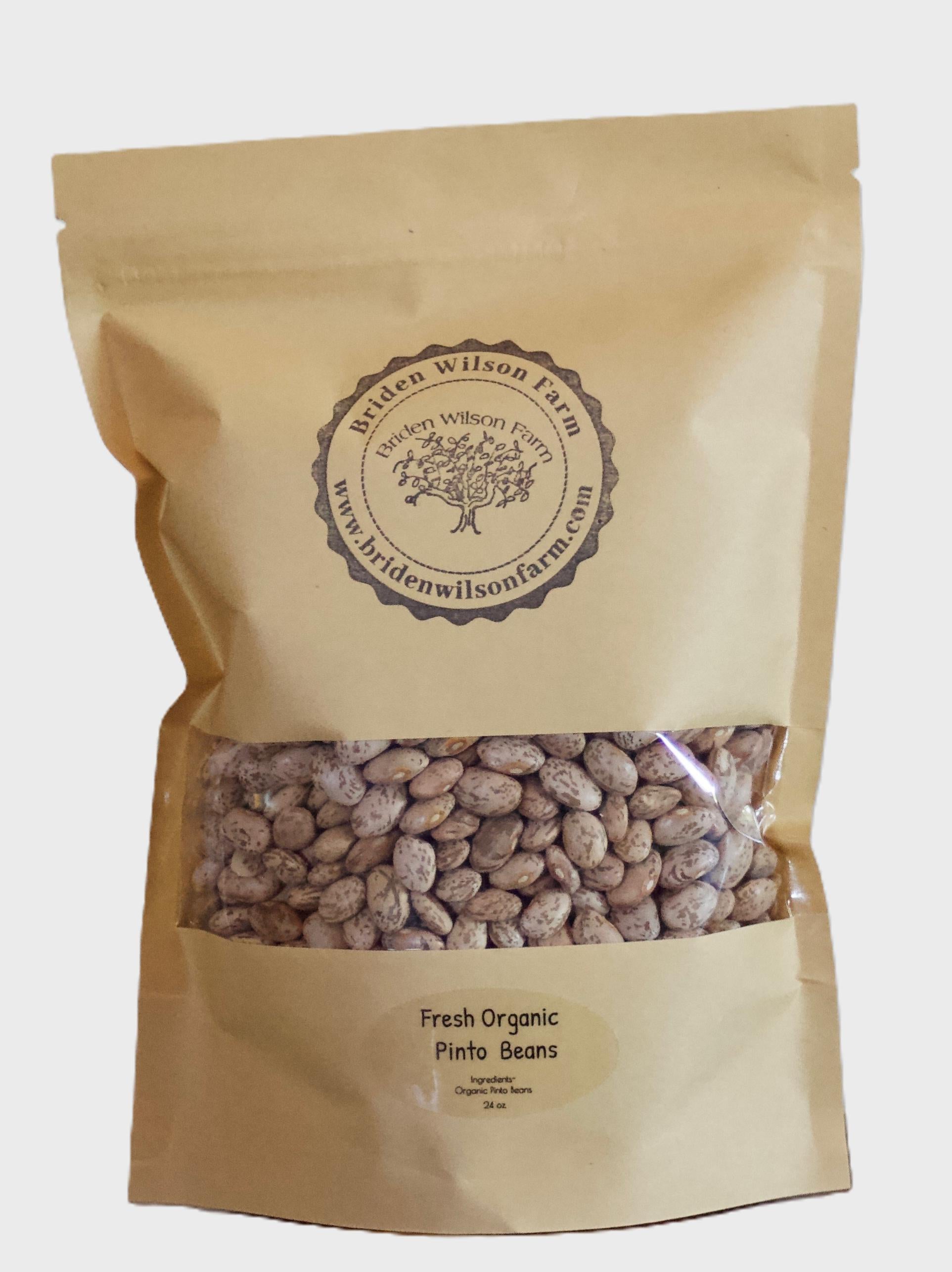 Fresh Organic Pinto Beans