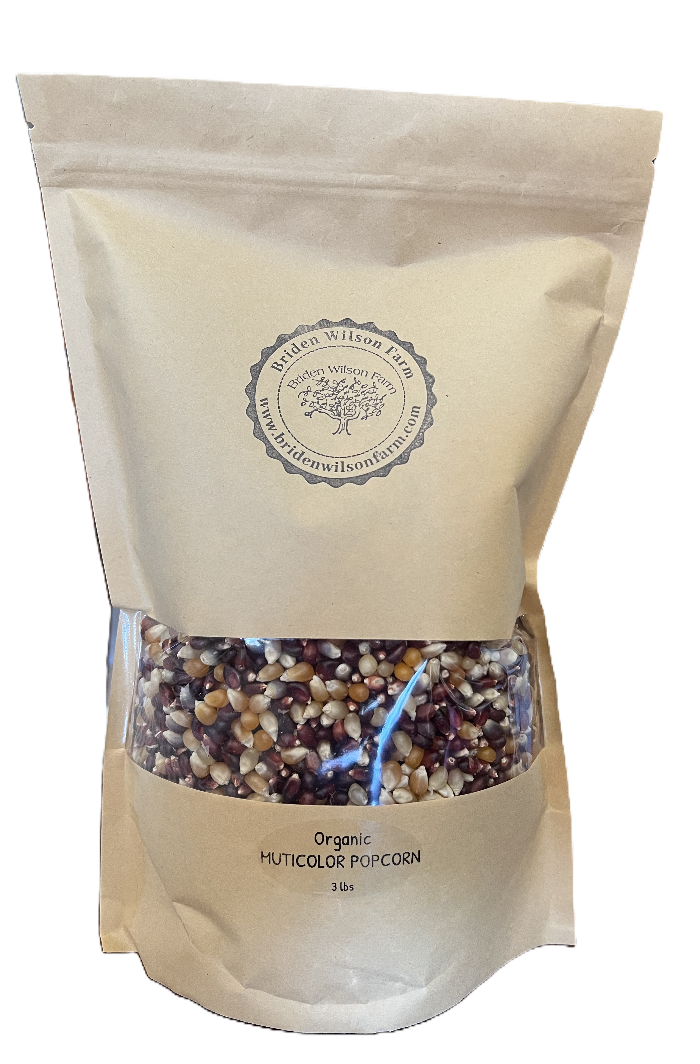 California Grown Organic Multi Colored Popcorn