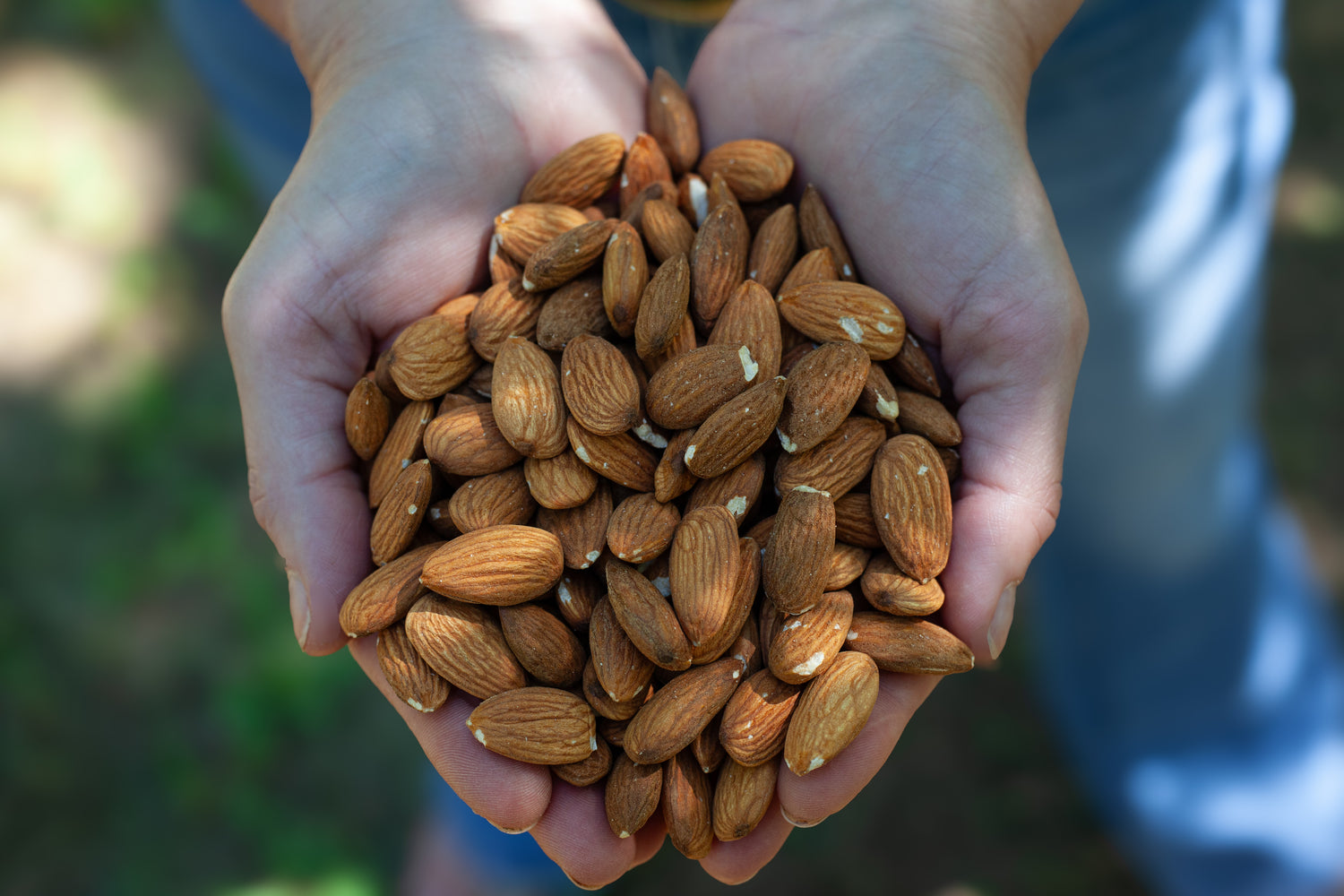Organically Grown Raw Unpasteurized Carmel /Aldrich Almonds