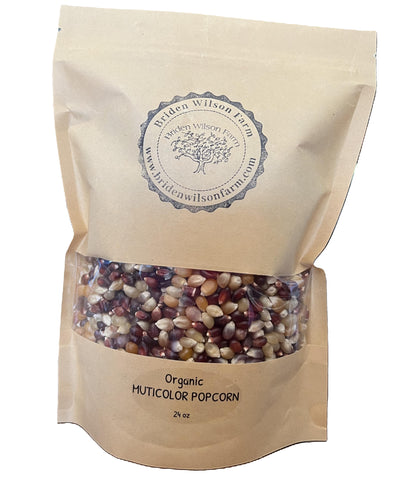 California Grown Organic Multi Colored Popcorn