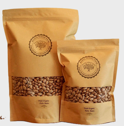 Fresh Organic Pinto Beans