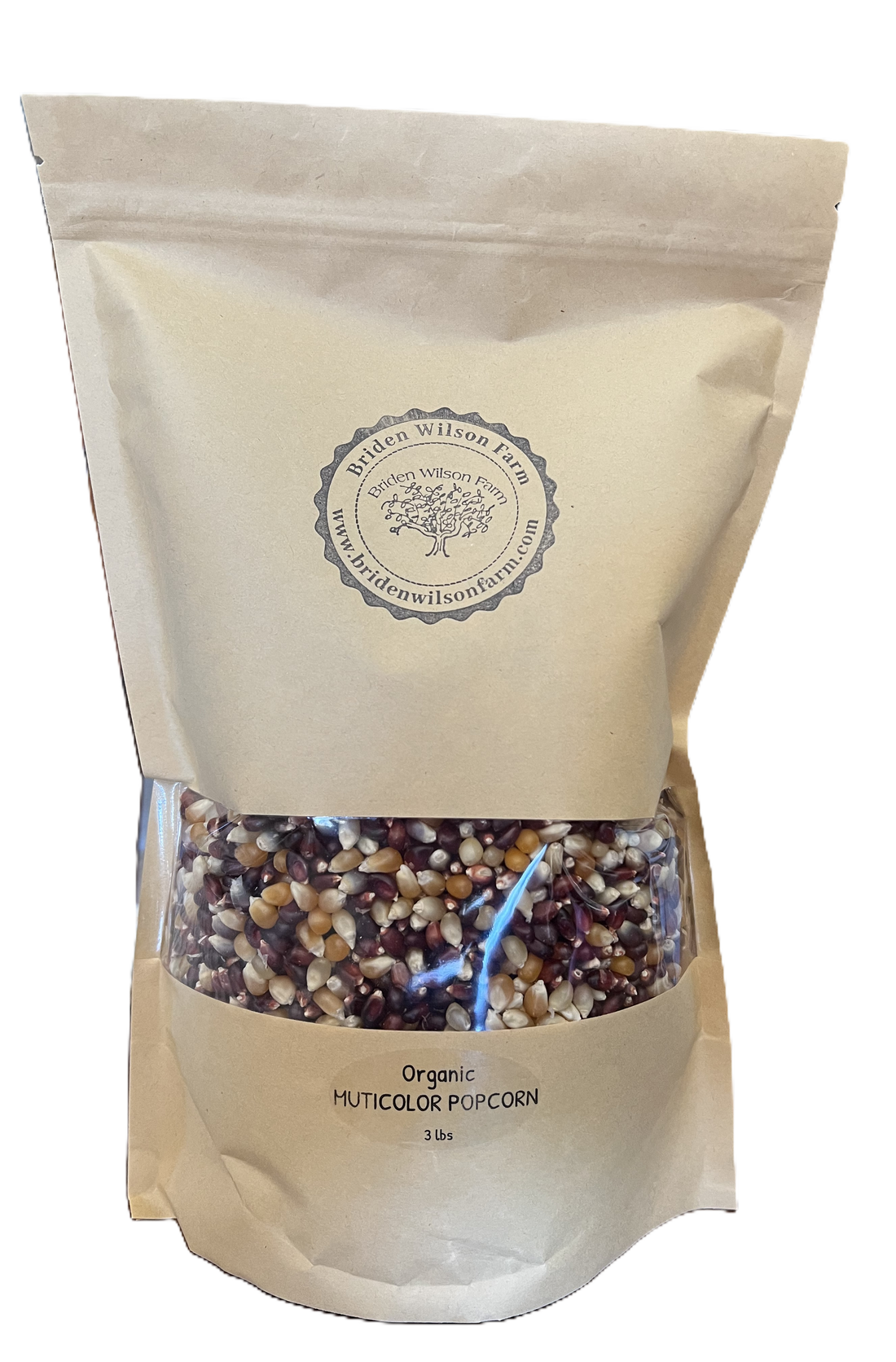 California Grown Organic Multi Colored Popcorn