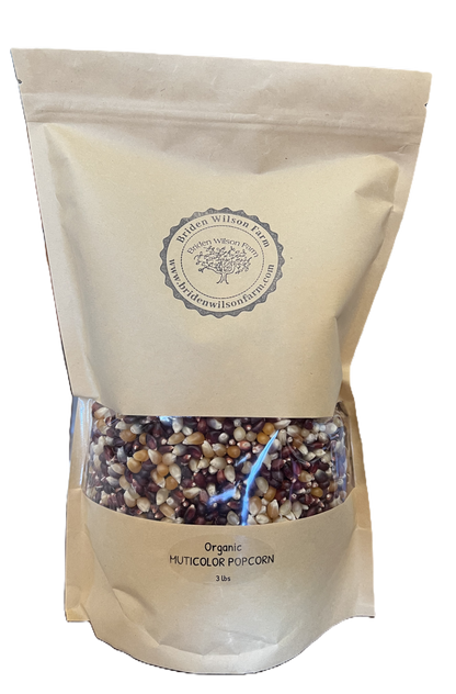 California Grown Organic Multi Colored Popcorn